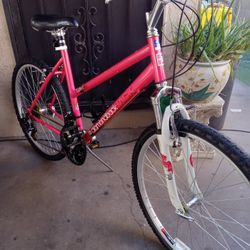 NICE BIKE DIAMONDBACKS Lustre 1 TIRES SIZE 26 FRAME SIZE MEDIUM 