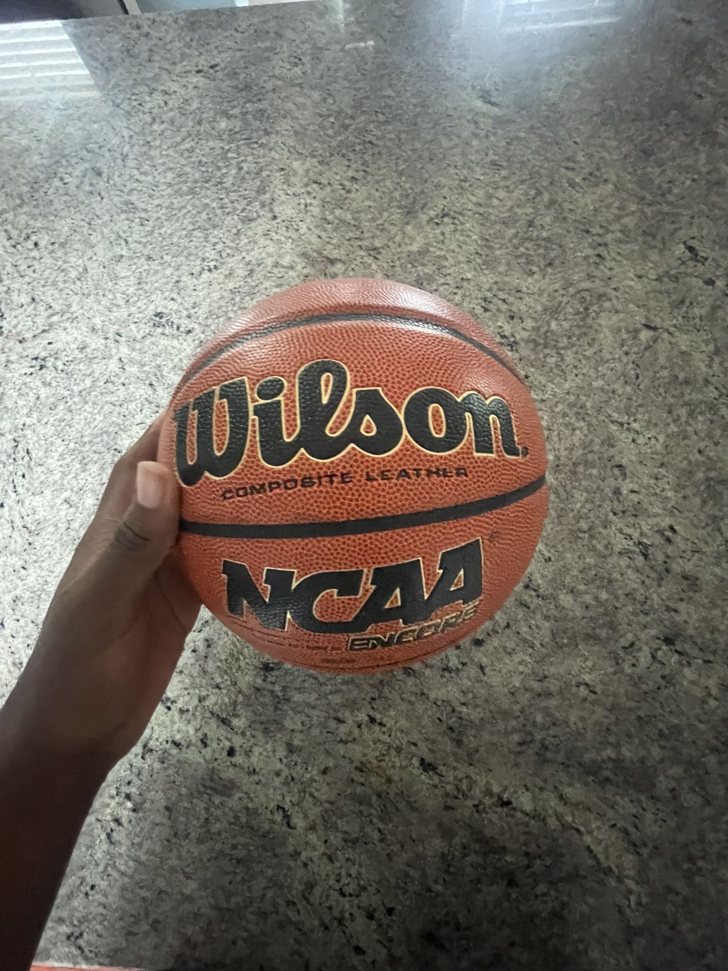 Wilson Basketball indoor
