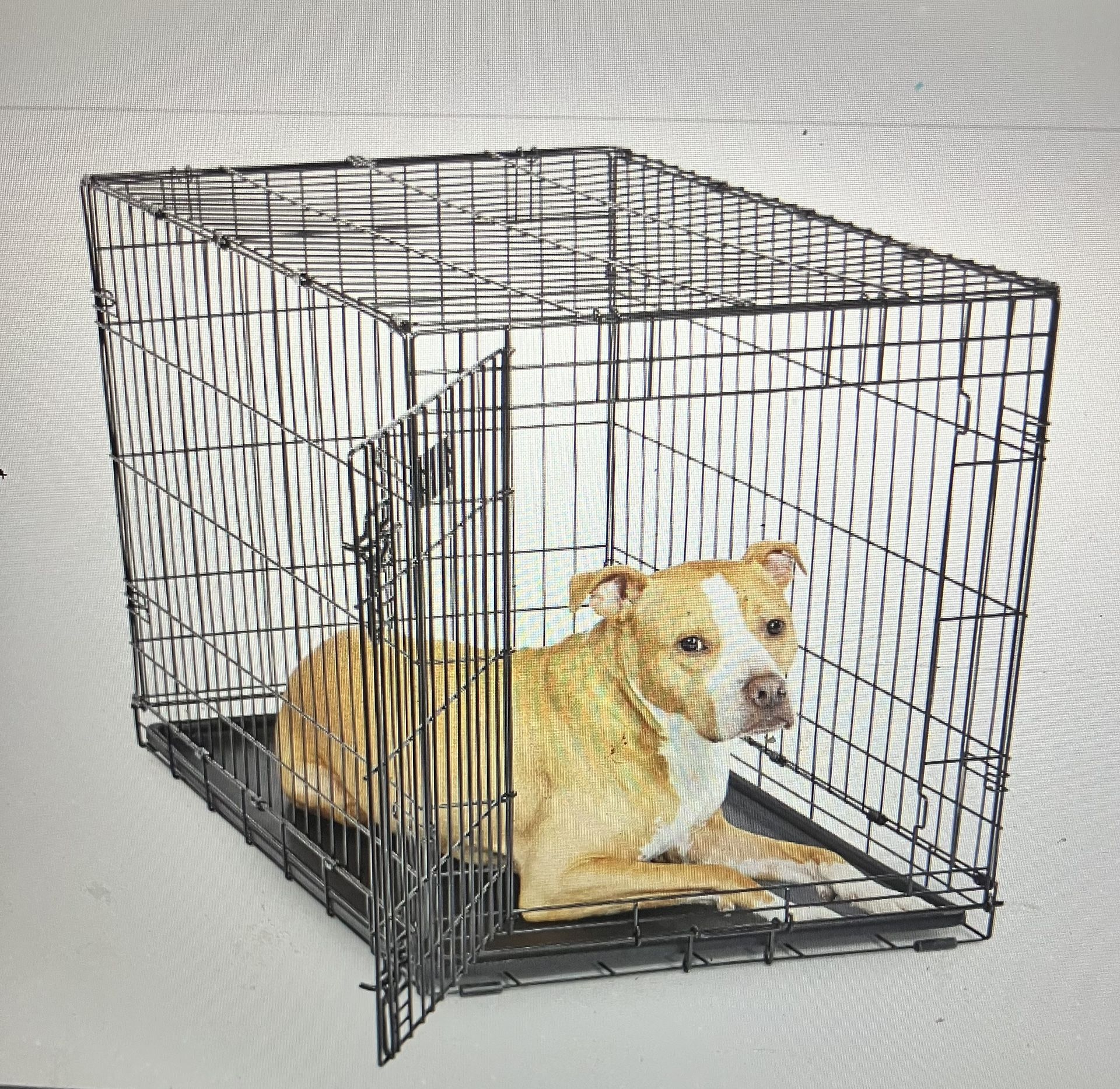 Never Used Dog Crate