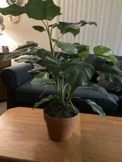 Potted Artificial Tropical Plant approximately 28 inches tall