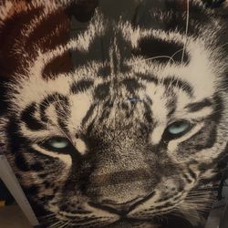 Tiger Wall Art