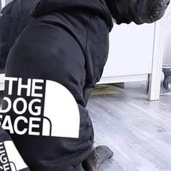 The Dog Face Hoodies For Larger Dogs