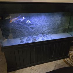150 Gallon Aquarium Fish Tank