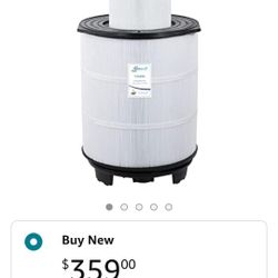 Pool & Spa Filter 