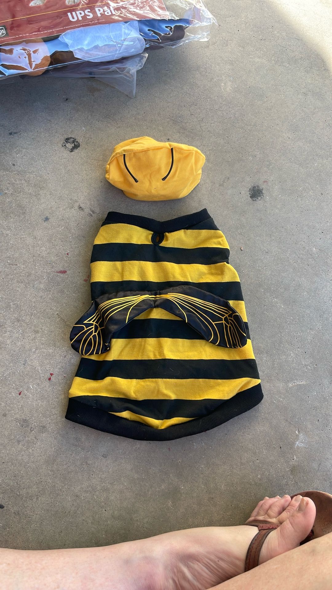 Bumble Bee Dog Halloween Costume