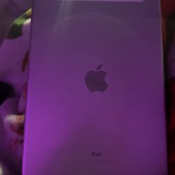 Older I Pad 