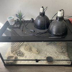 Reptile Tank