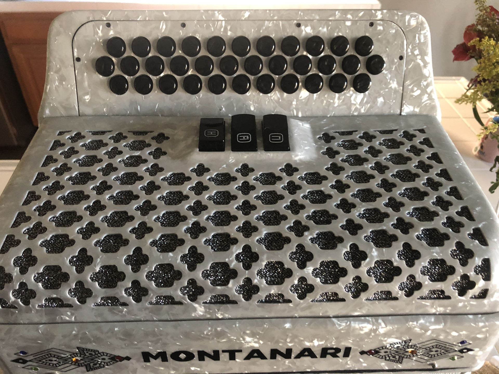 Accordion Montanari