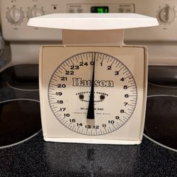 25 Pound Scale