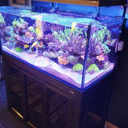 Inovative marine 100 gal ext complete system