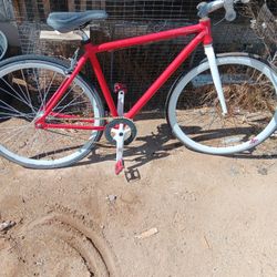 Cycling Road Bike 