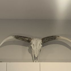 Fake longhorn art 