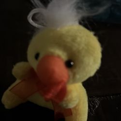 Cute duck toy