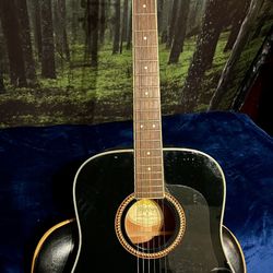 Washburn Acoustic Fantastic Condition 