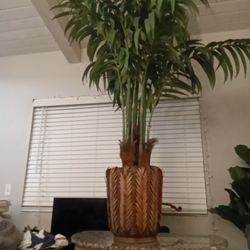 Phaeux  Palm Tree 7' Tall