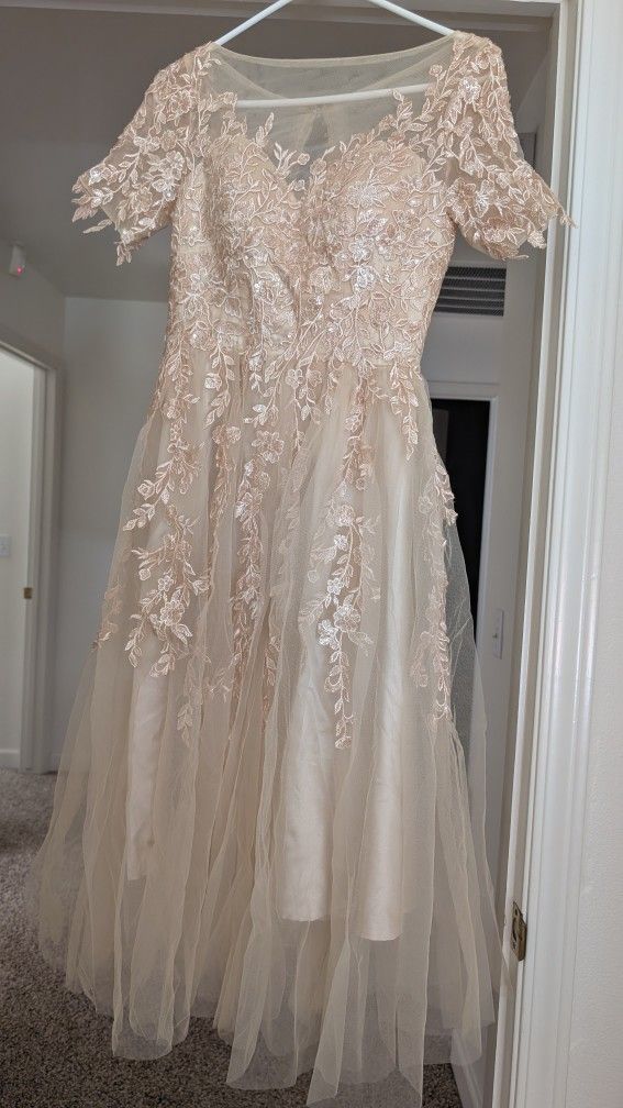 Champagne Colored Elegant Dress 