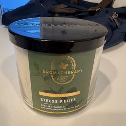 Bath And Bodyworks Aromatherapy 3 Wick Candle. 