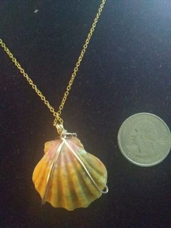 Sunrise shell wrapped with 14k GF wire on 18k GF necklace