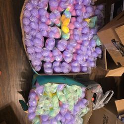 350 EASTER ITEMS NEW FOR $25