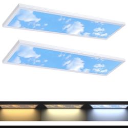 2 Pack 1x4 LED Sky Panel Light Surface Mount 