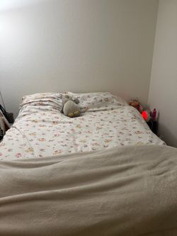 Full bed + box spring
