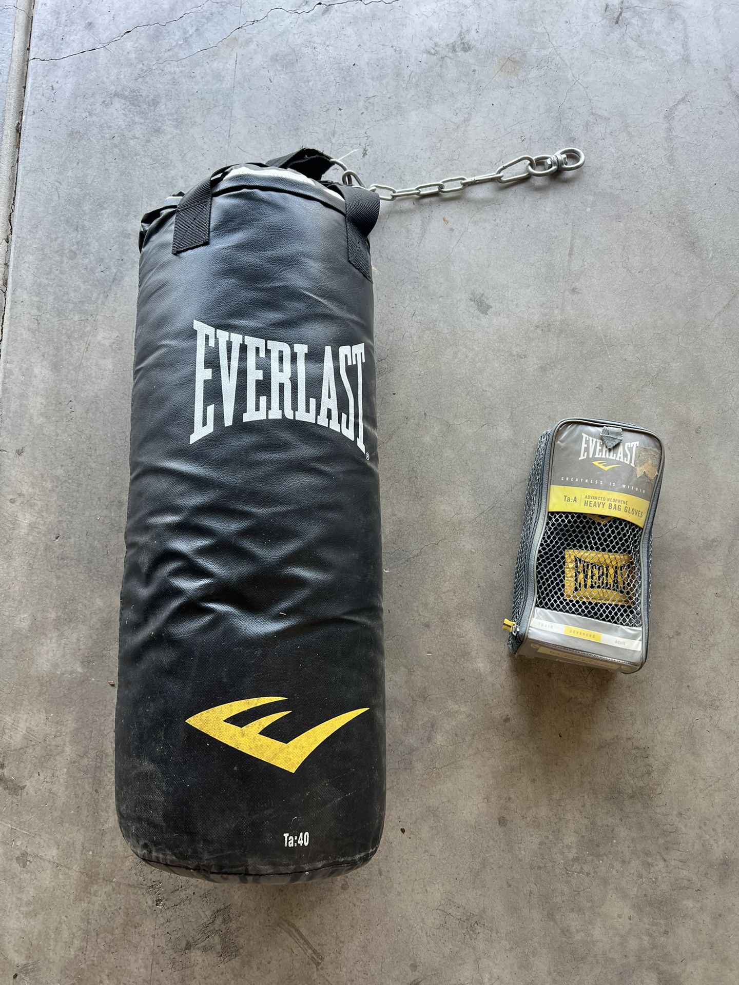 Everlast Punching Bag With Gloves