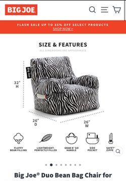 Big Joe Bean Bag Chair