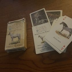 The Natural World Playing Card Collection Horses Of The World Preowned 