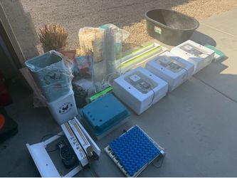 Farm equipment (eggs) BULK buy