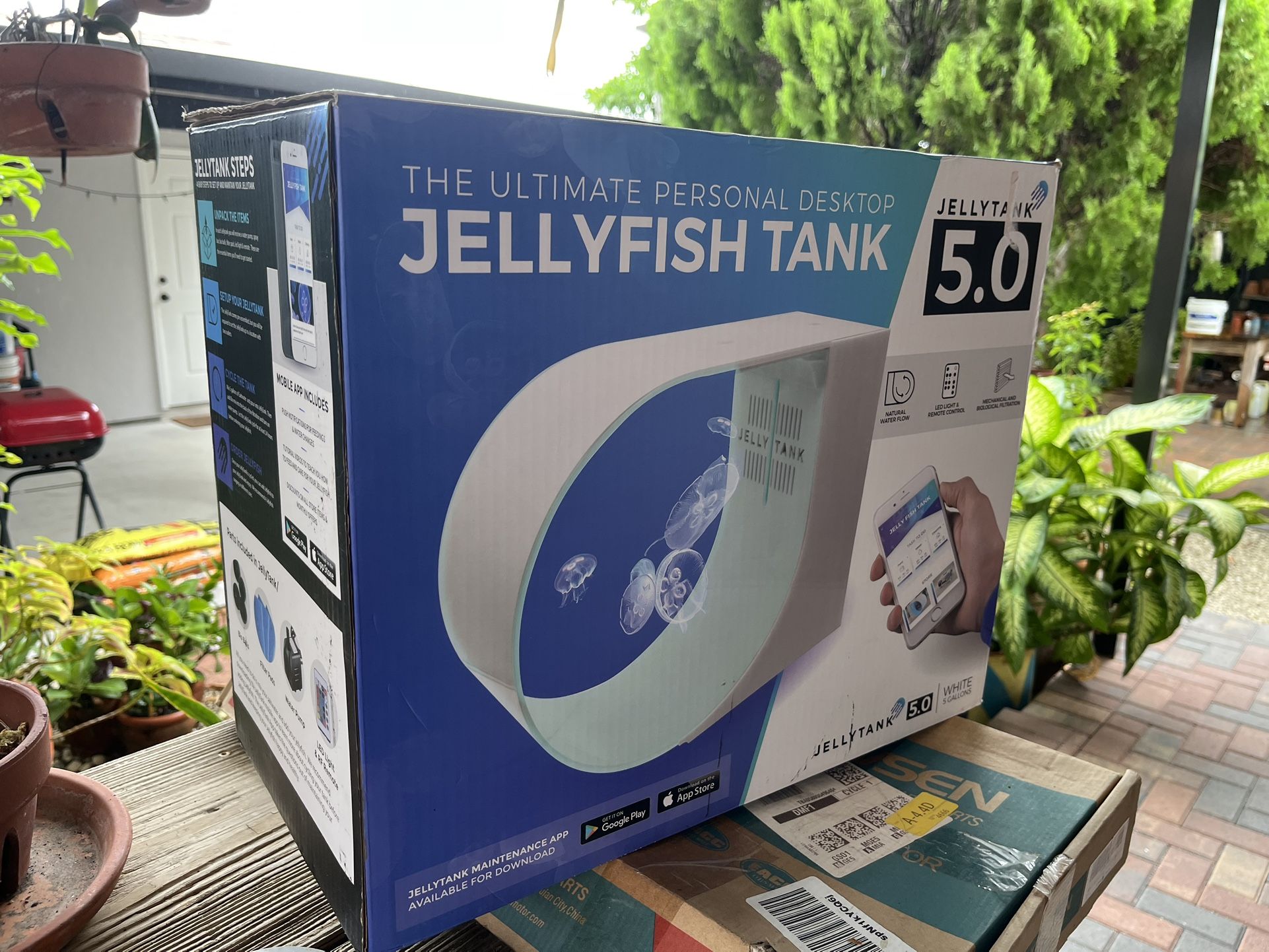 Jellytank 5.0 5 gal jelly fish tank aquarium kit desktop personal new model 