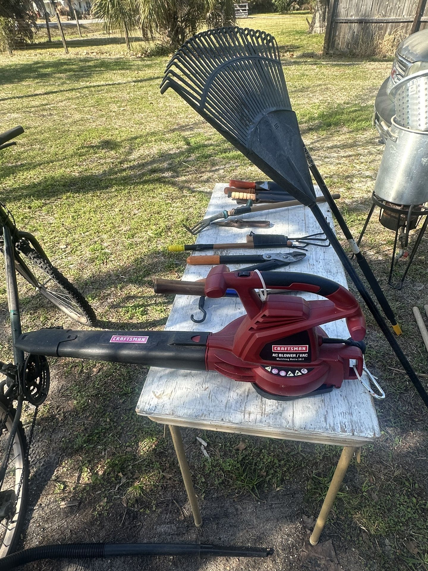 Electric Leaf Blower