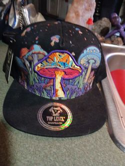 Top Level mushroom hat .never  wor