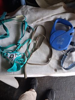 Leash and harness.   Free