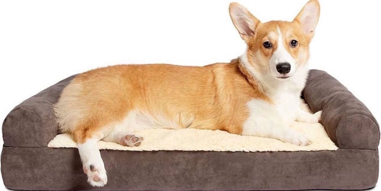 Orthopedic Dog Beds for Medium Dogs - Dog Bed Couch, Memory Foam Dog Bed Medium, Supportive Foam Pet Couch Bed with Removable Washable Cover, Waterpro