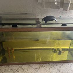 90 Gallon Fish Tank Set Up