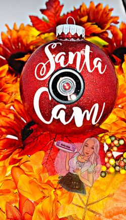 Santa cam