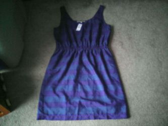 Loft dress (new)