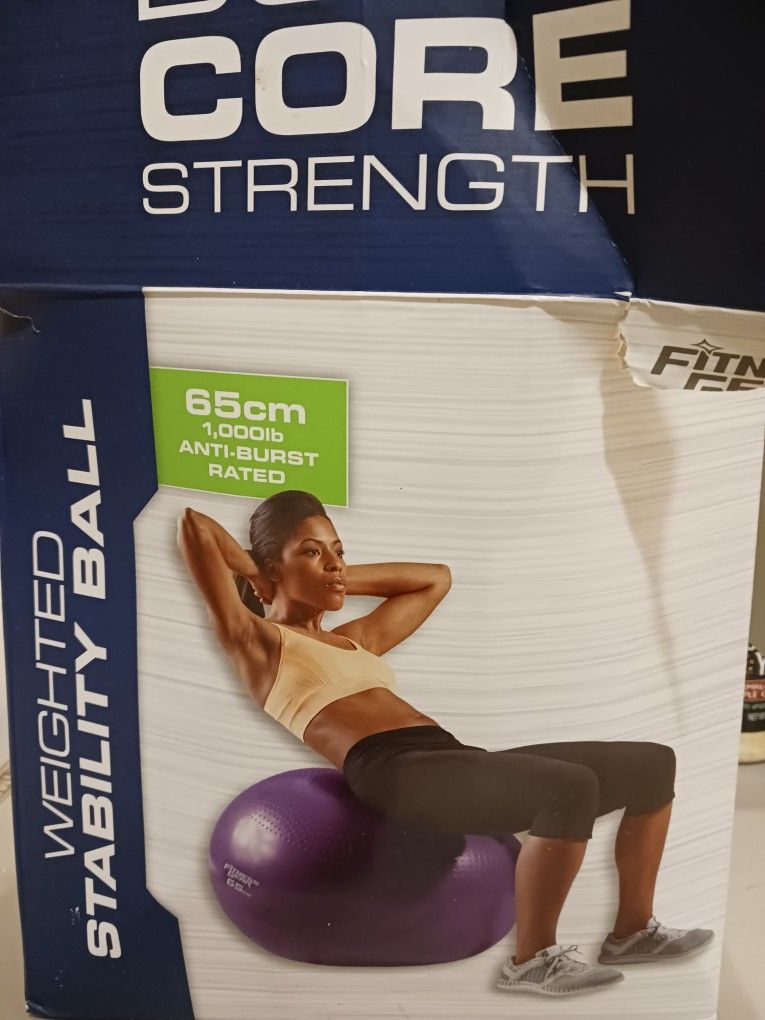 Weighted Stability Ball 1,000 Lb