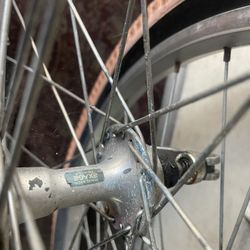 Mountain Bicycle Tires