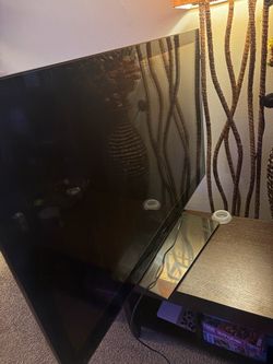 Free 50in Sony(not working)