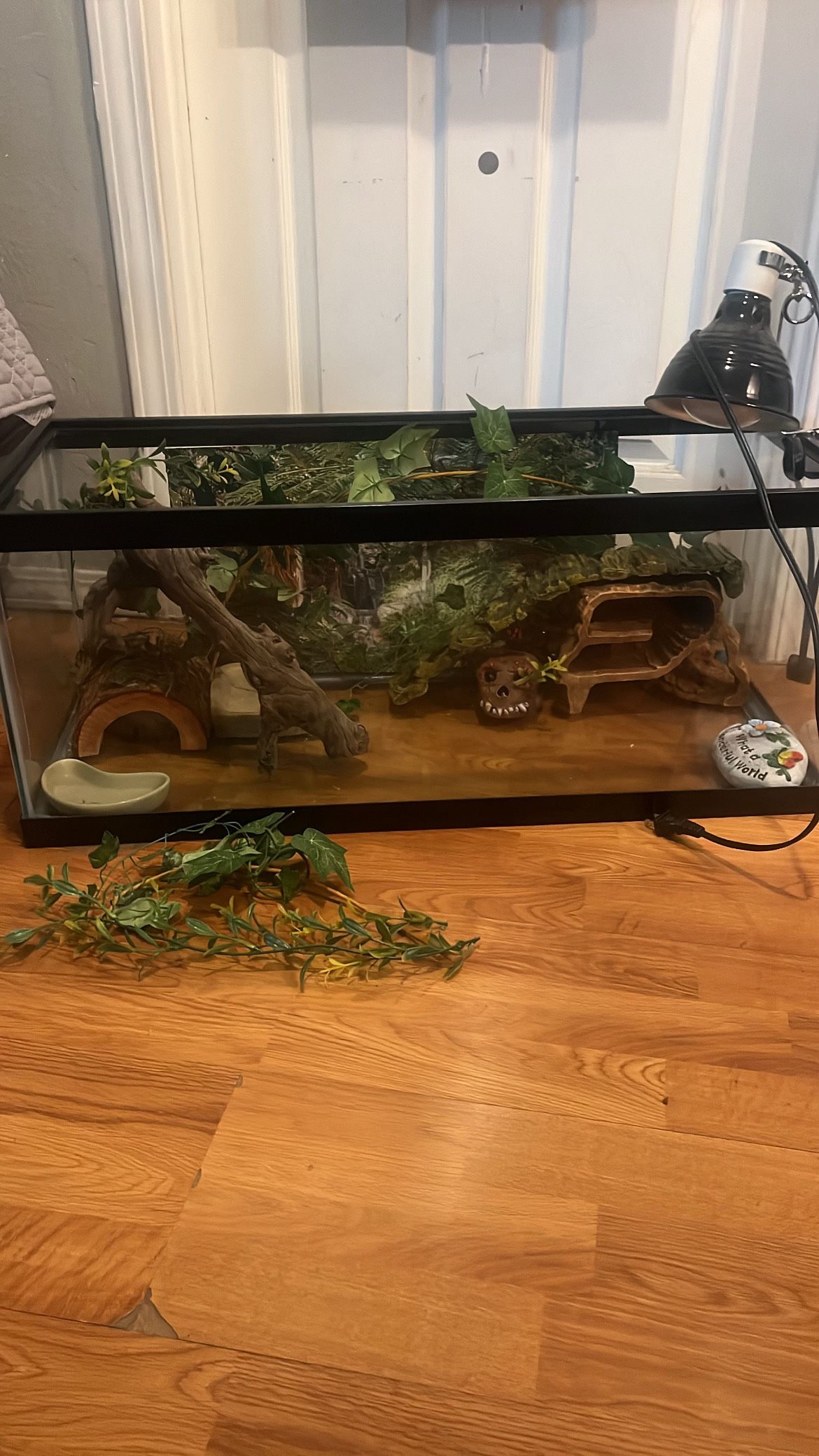 Reptile/fish Tank 20 Gallon Long