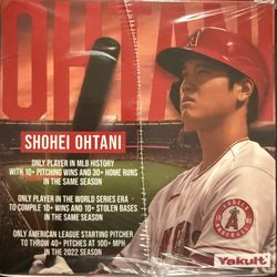Angels Baseball Shohei Ohtani 100 piece jigsaw puzzle - NEW in sealed box