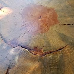 Rustic Pine Slab Table 