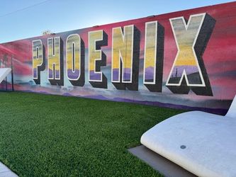 Premium Artificial Turf 