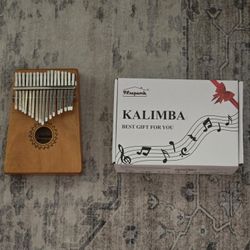 Kalimba Instrument