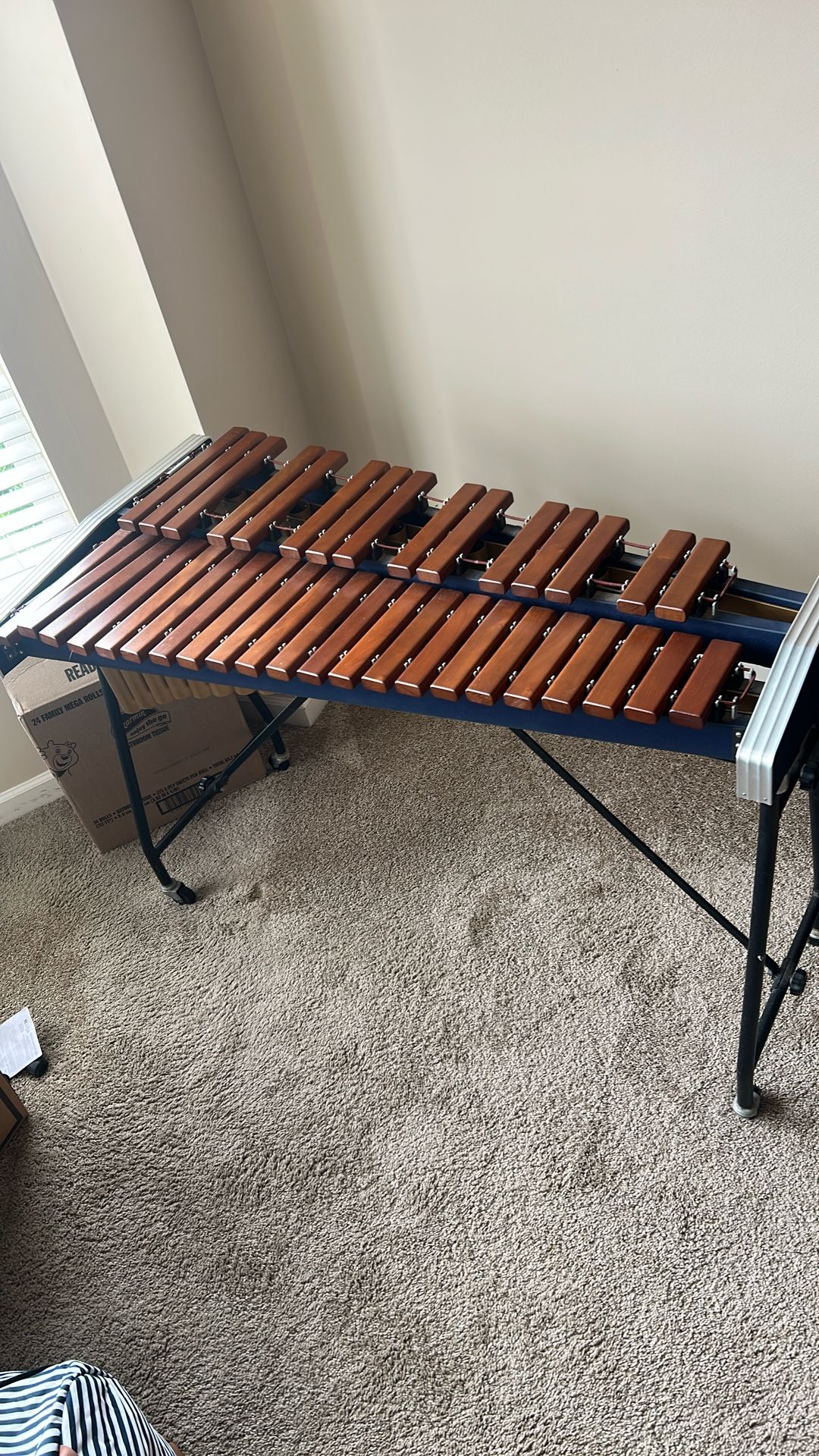 Xylophone 