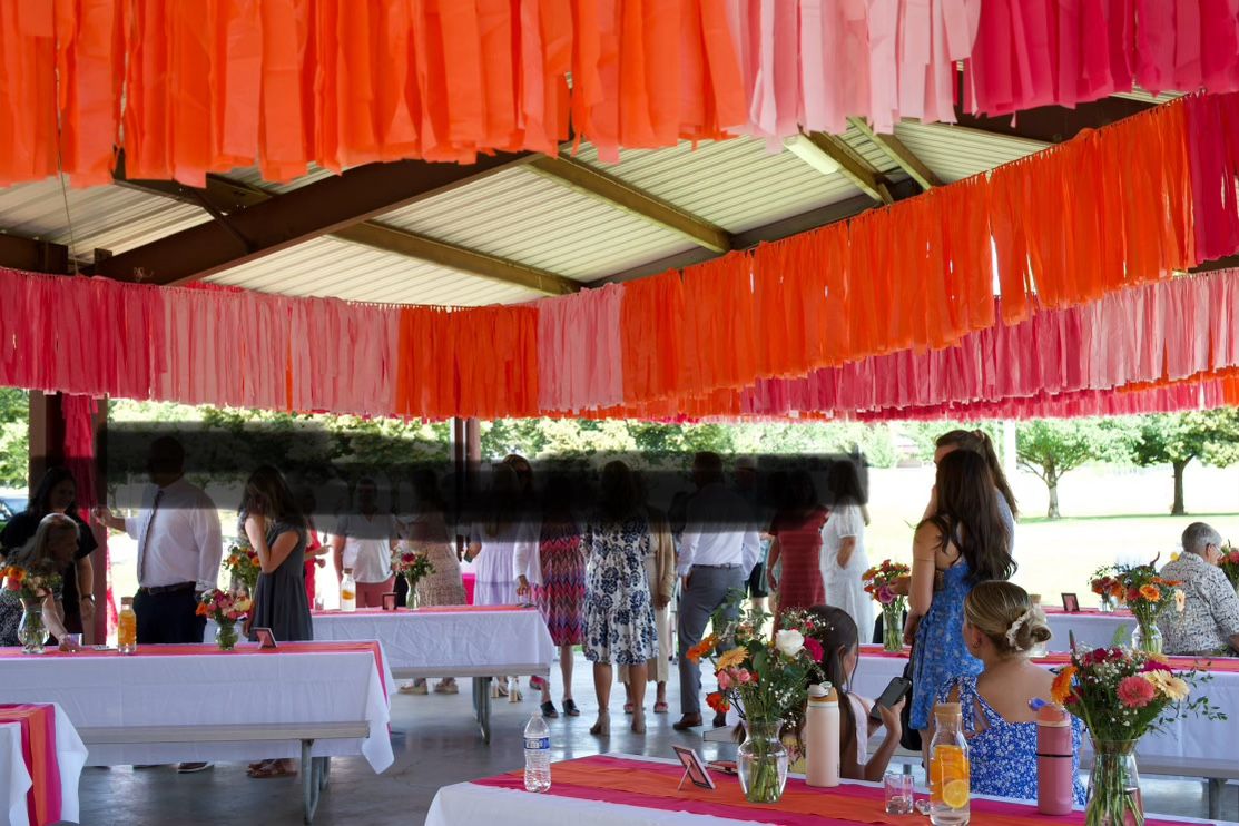 Wedding, Birthday, Party Streamer Decorations