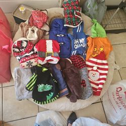 Puppy Clothes! 