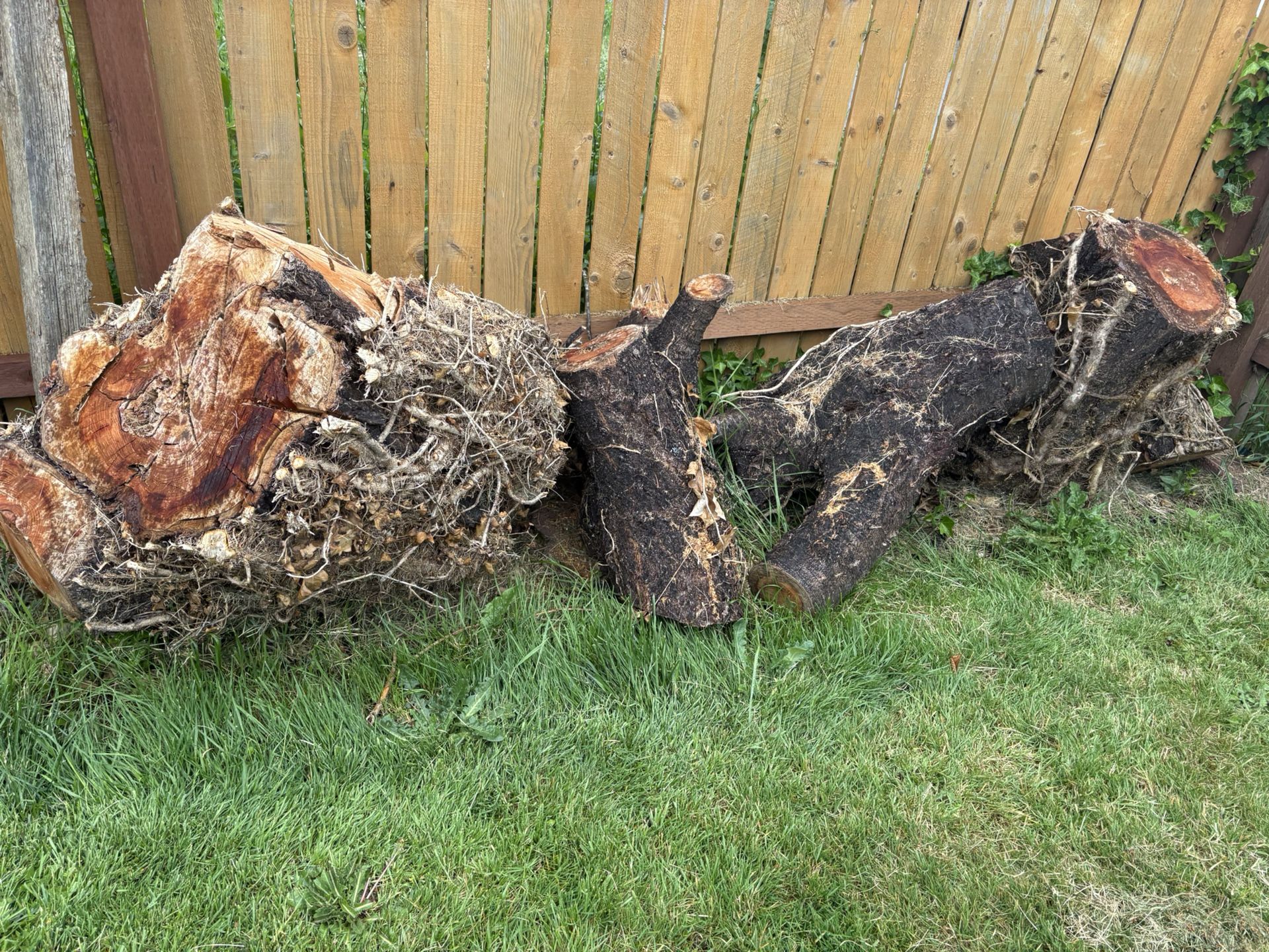 Free Cherry Wood