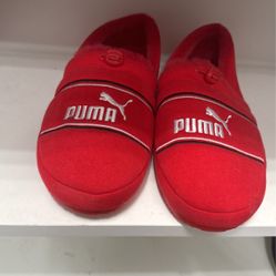 Puma 